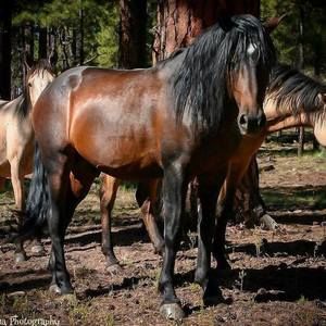 Meet your Posher, Darrell